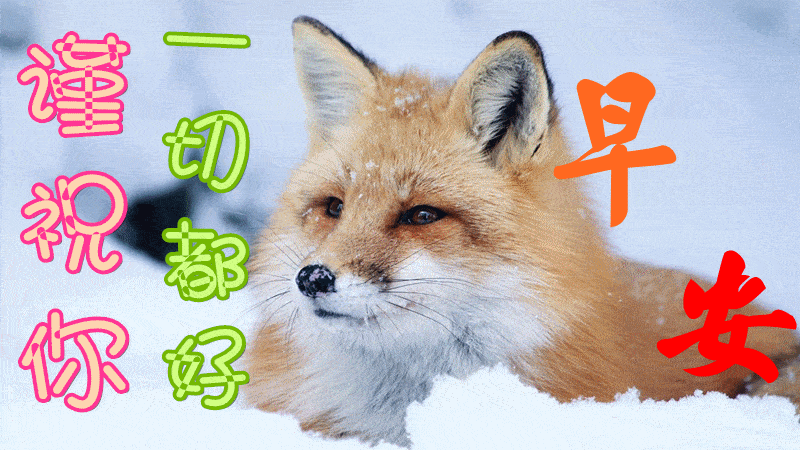 12月16日早上好动态表情图片大全早晨好动图美图大全