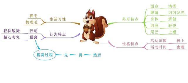 结构解析本文介绍了松鼠是一种漂亮的小动物,通过描写说明它的动作