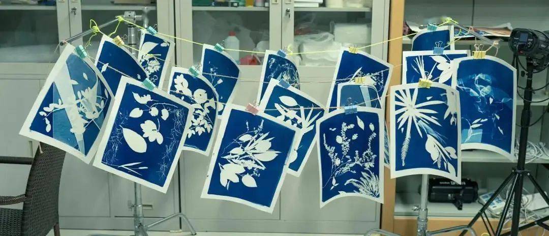 什么是蓝晒快来体验有颜又有趣的传统摄影工艺