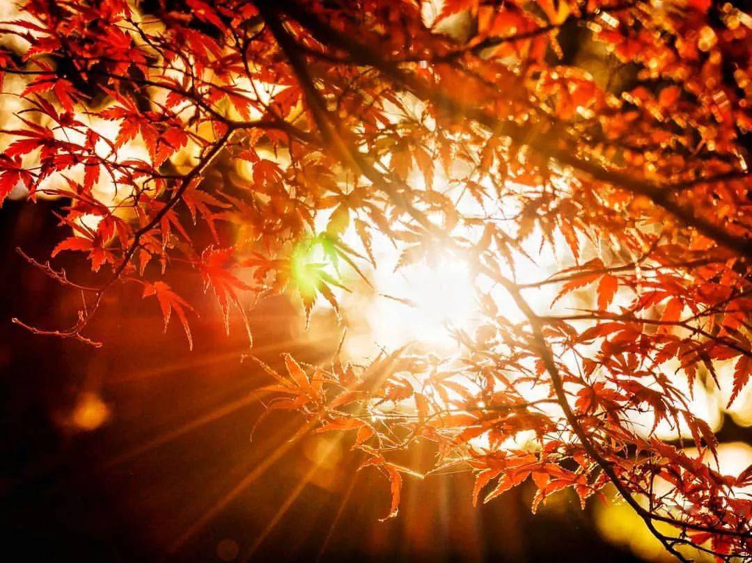 摄影艺术追光吧少年