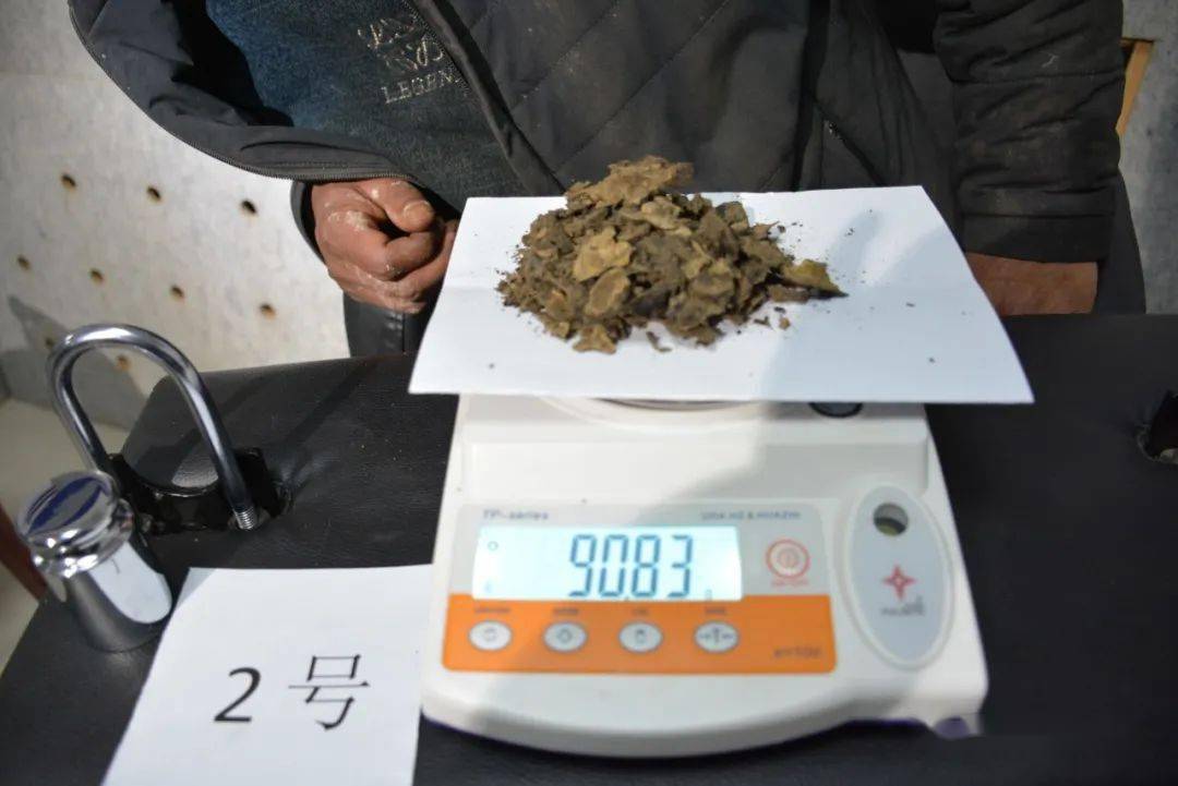 康乐县公安局连续破获三起重大贩卖毒品案_马某_鸦片_康丰