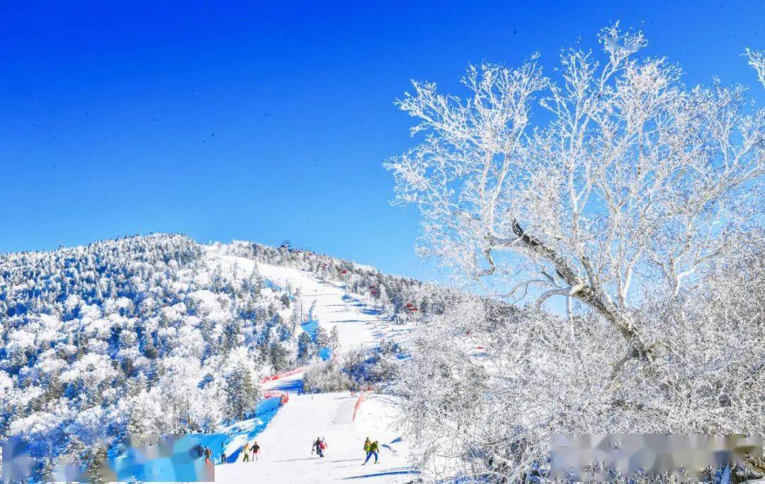 仙境|冰雪倾城，吉林市美景如画