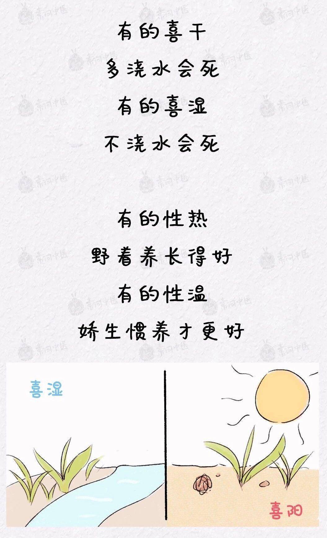 向前走|请告诉孩子：世界本不公平，你有多努力，就有多特殊