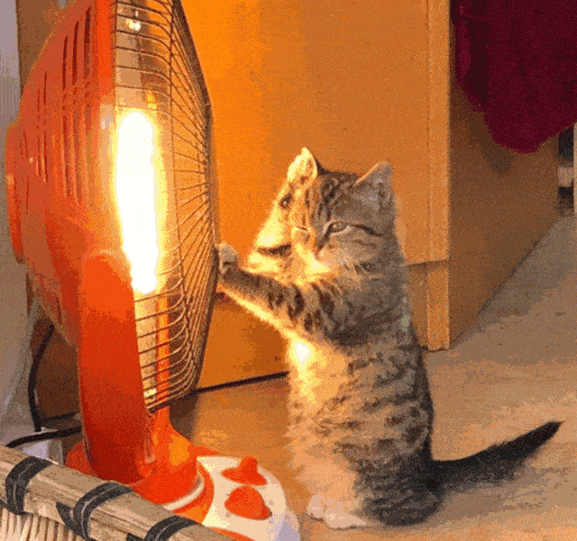 热水袋|警惕！冬季有种伤害叫“低温烫伤”，比高温烫伤还可怕～