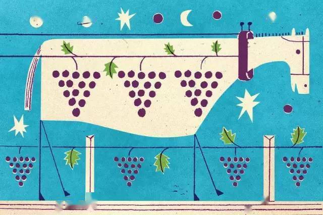 酿酒|有机、生物动力、自然酒区别原来是这样的!
