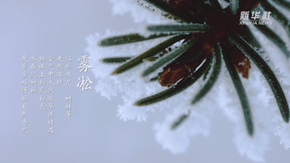 柳建羽|千城胜景｜寒江雪柳日新晴 玉树琼华满目春