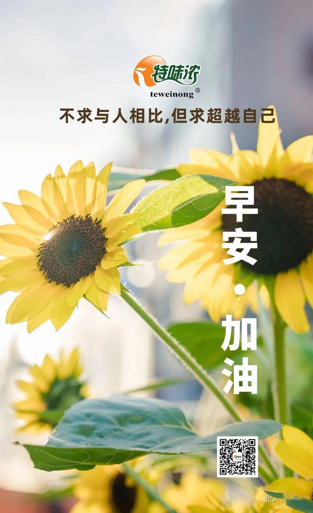 风雨无阻是心态，风雨兼程是状态。_大海_人生_生命