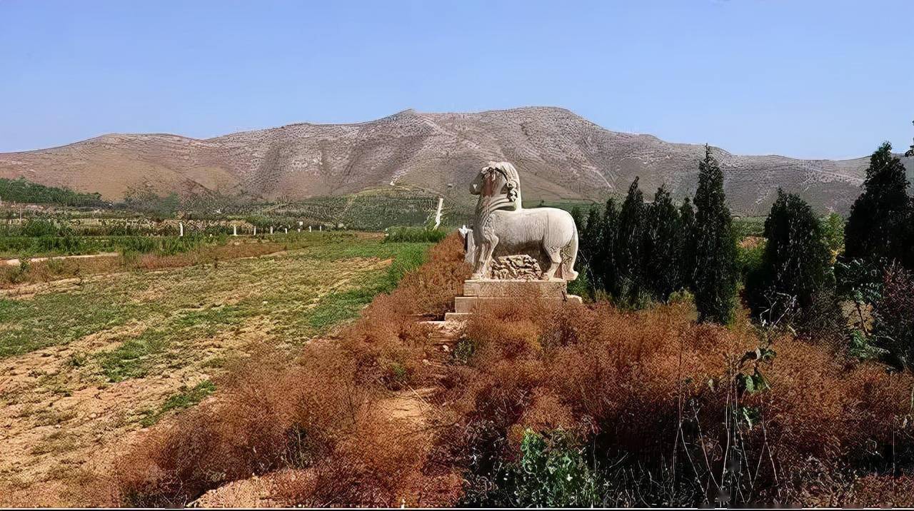 蒲城县安继荣图片