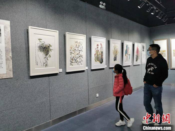 展览|广东省文化馆展出40余幅新时代岭南花鸟画