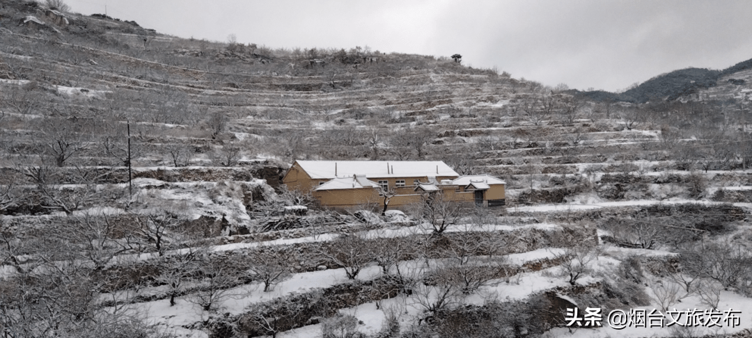 大雪|美出新高度！这样的烟台你肯定没见过！