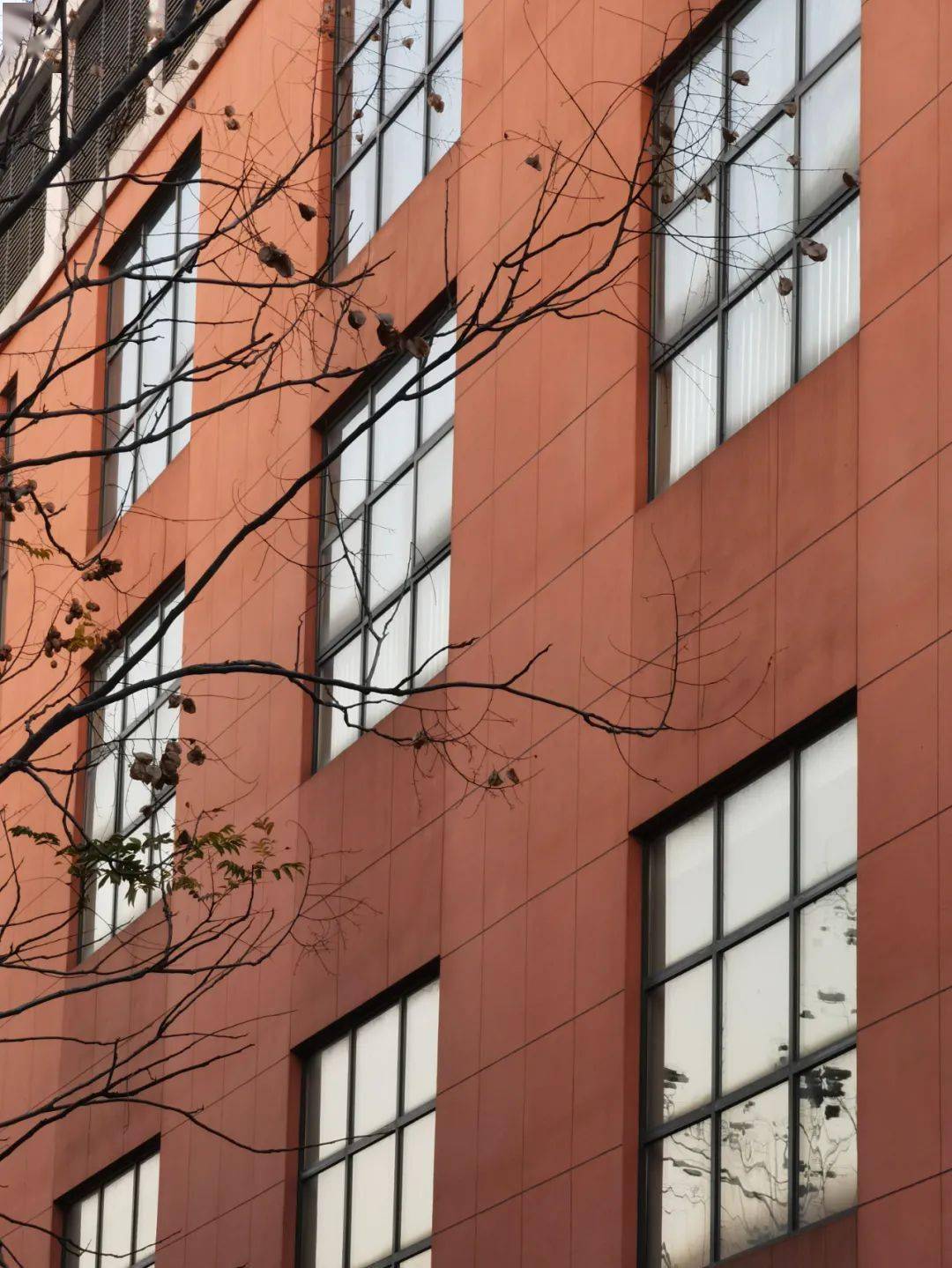 12月的海宁,"美"到所有人…_大潮_公园_章海霆