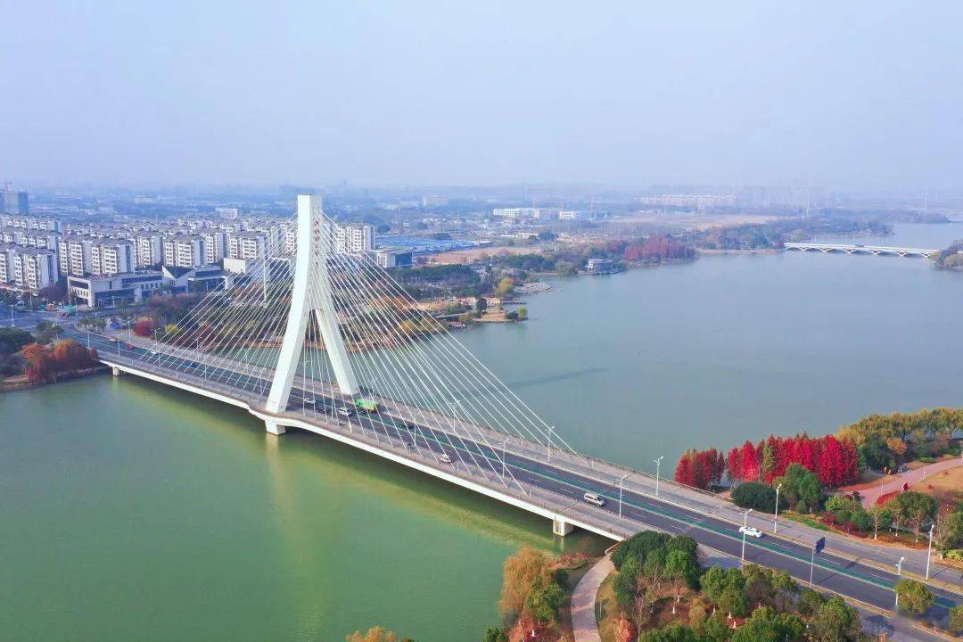 张家港沙洲湖大桥历史图片