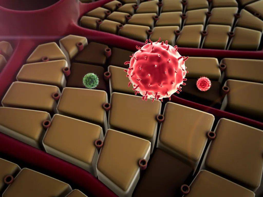 有关|BJC：肝癌风险减半，仅需这五招！