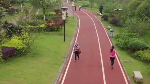 市民|日行一万步，科学吗？靠谱吗？看看专家怎么说