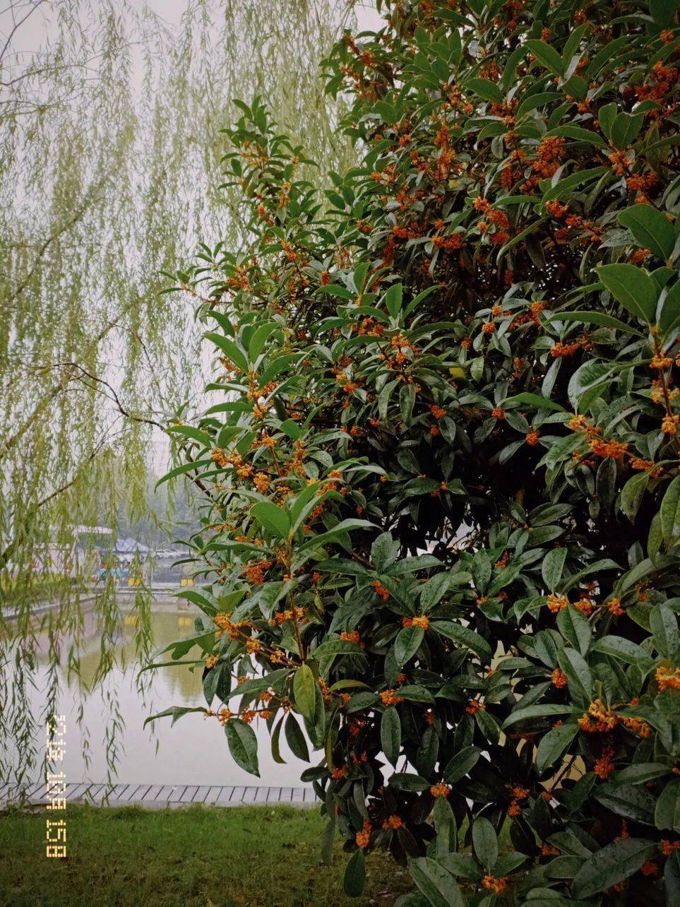 南青电台岁月不居时节如流