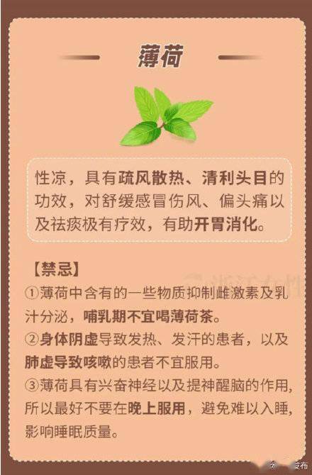 禁忌|養生茶喝錯反傷身！