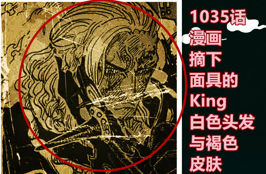 king本名叫阿贝尔,摘掉面具后是白发与褐色皮肤_索隆_漫画_露娜利亚