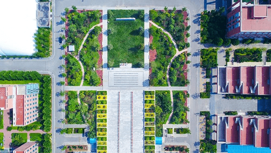 教学楼前草坪:团队结合高差将这里变为以广场为核心,兼顾停留,交流