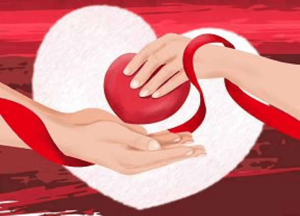 新元素汽车将公益与客户关爱进行到底_奥迪_自贡_关怀