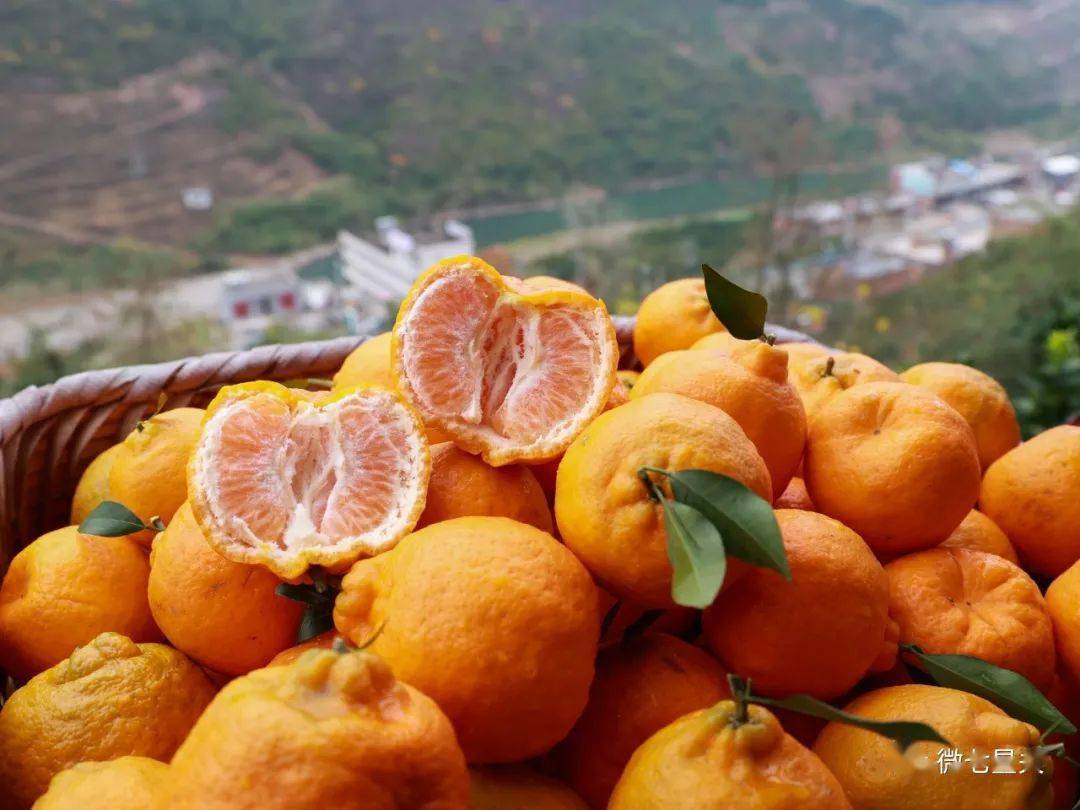 大河口椪柑,9.9元抢6斤!