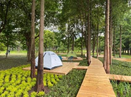 搭帐篷“一位难求”？浦江东岸计划开放5块草坪，让绿地可亲近可使用
