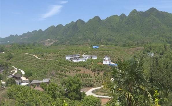 广西林业厅_林业局广西_广西林业厅领导一览表