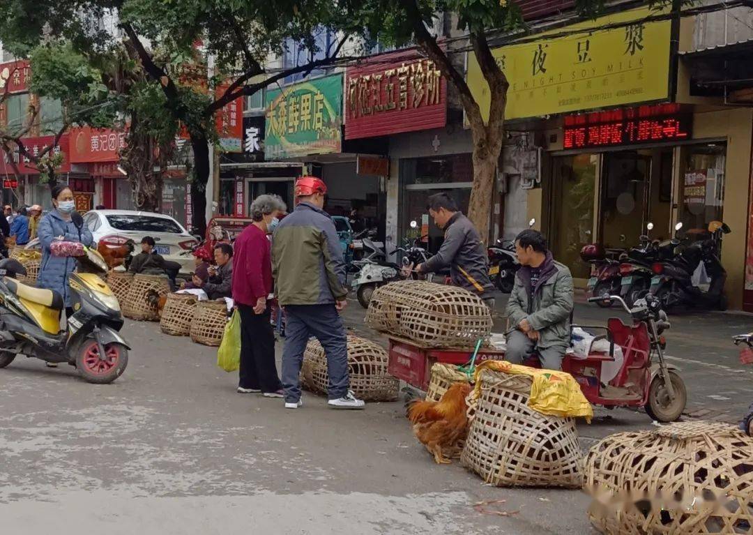 很多大哥大姐在卖鸡鸭~好多鸡鸡鸭鸭▼街市买鸡买鸭虽然冬至没有春节