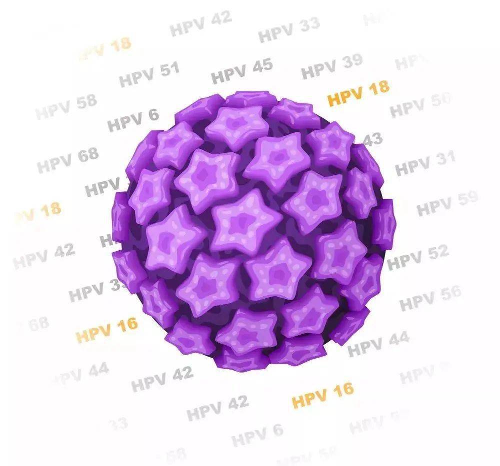 答疑|关于HPV疫苗接种的答疑来了！
