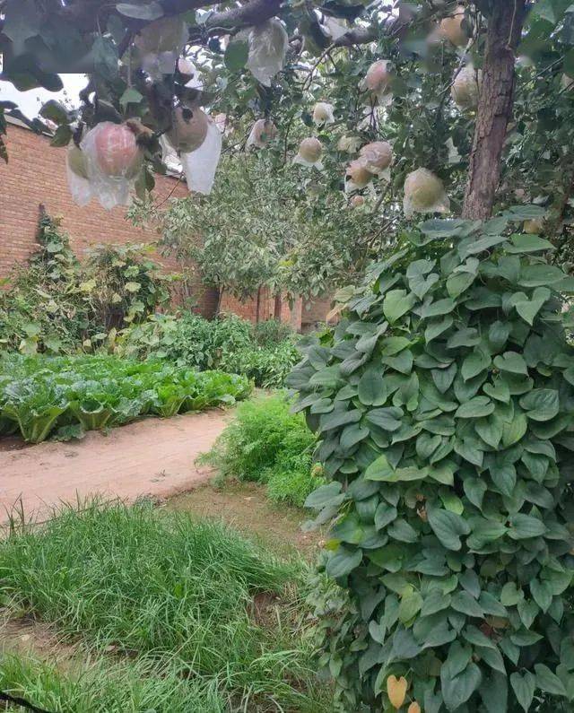 庄稼院 来自搜狐网