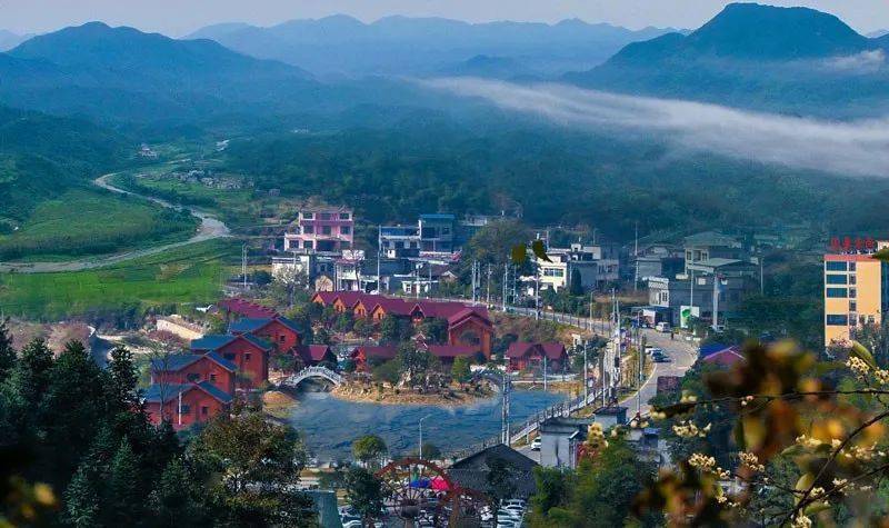 柃蜜小镇以"柃蜜之源"著称.