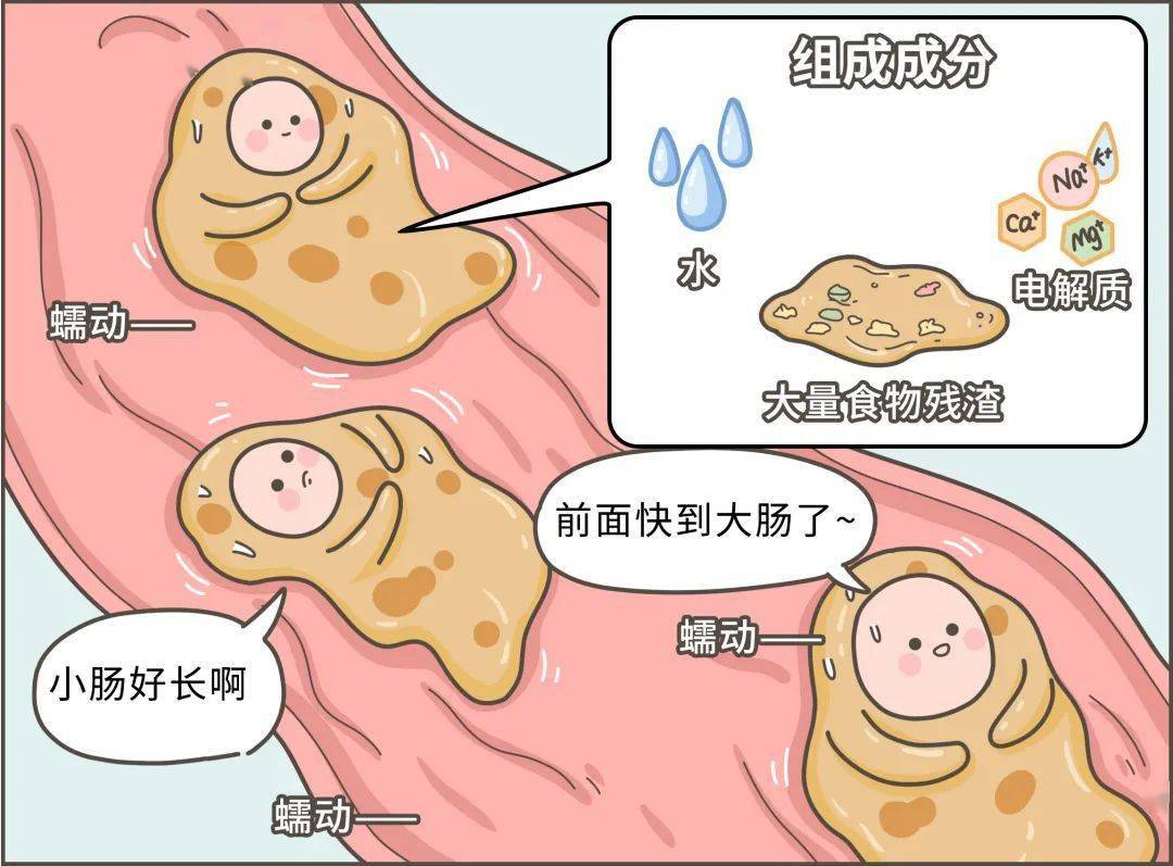 到底吃什么了有些人的屎怎么会那么臭