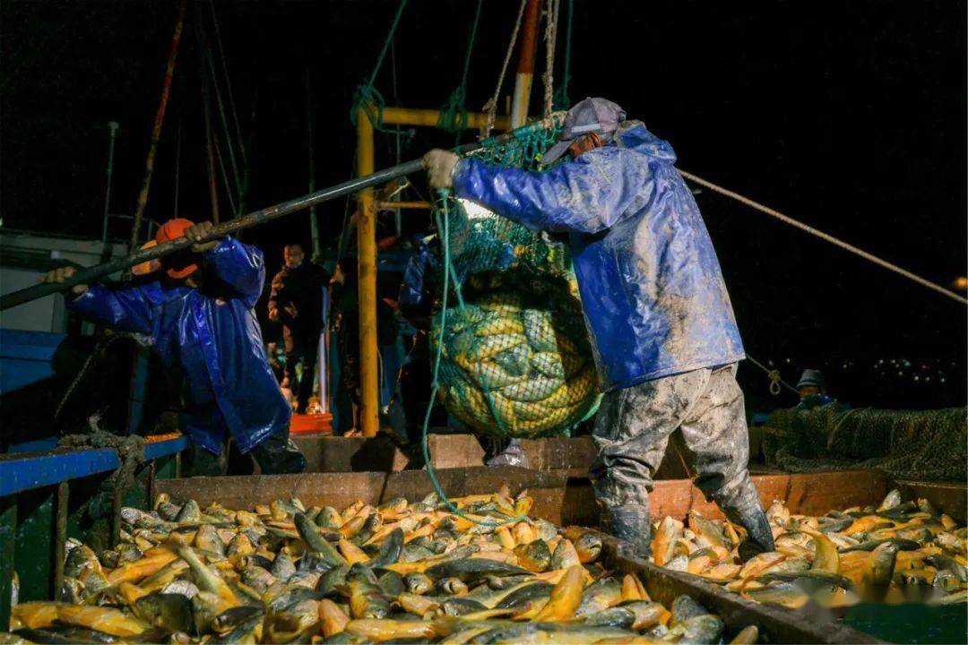 嵊泗_旅游_捕捞