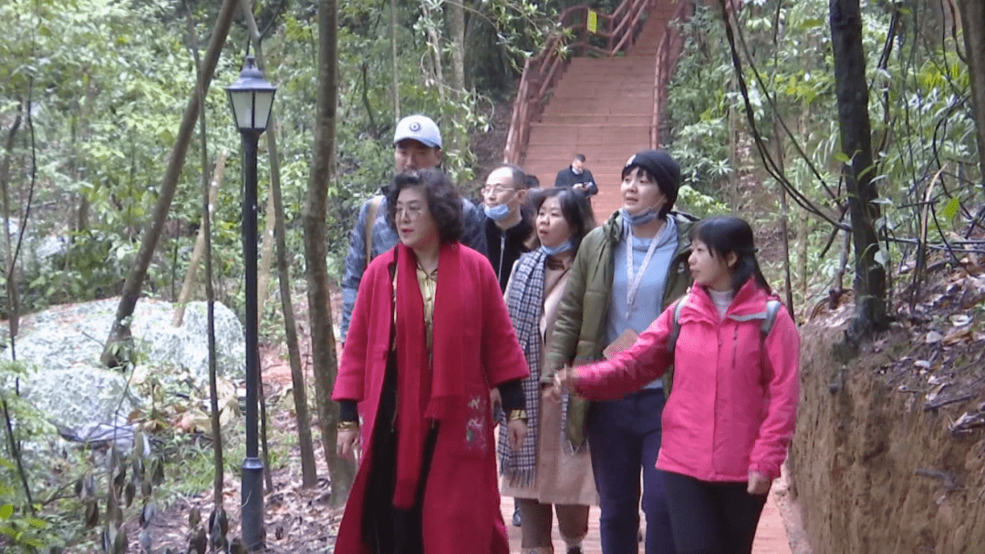 国家一级演员万山红到我县采风