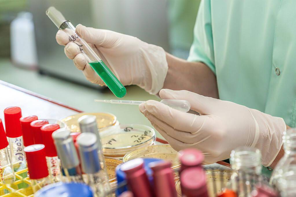 吃什么药能预防老年痴呆症 120d29077845460b944c5e9d84cd4d13.jpeg