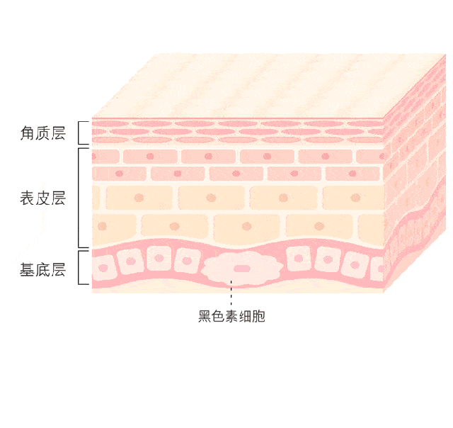 斑点靠这个，不用粉底液也能自信出门！
