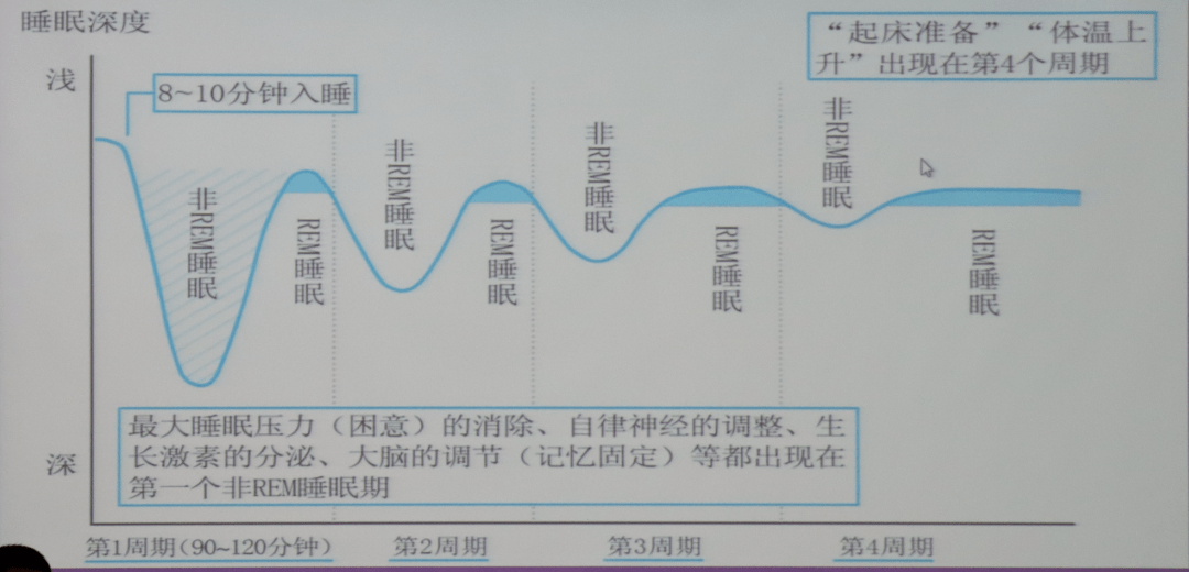 达芬奇睡眠法时间表图片