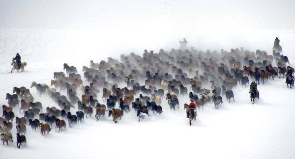 卡尔坎特|马踏雪原