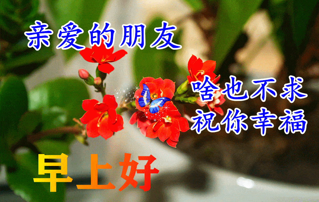 清晨漂亮冬日风景早上好祝福图片带字温馨聊天不用打字的祝福图片精选