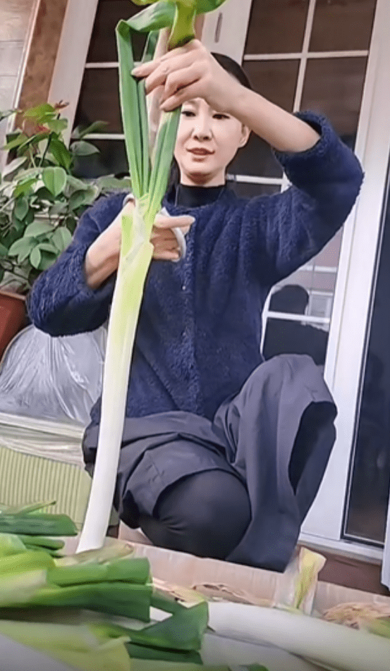 56岁于文华在家种葱,挖坑翻土动作熟练接地气,素颜白嫩太显年轻_大葱