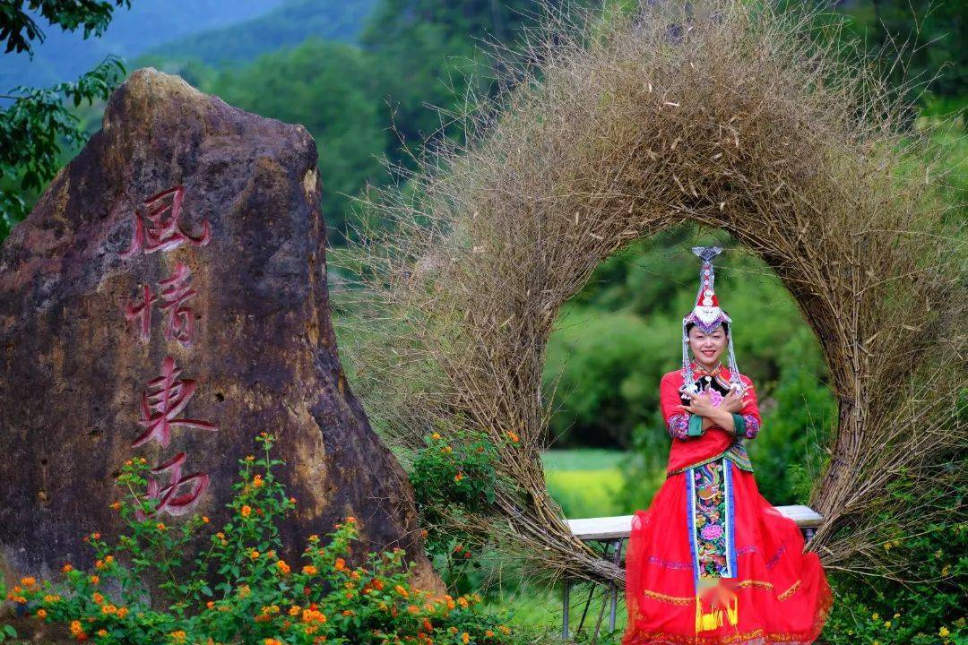 "畲族凤凰"在东西岩舞翩翩,千年畲乡与万年丹霞的邂逅