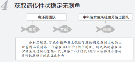 高校|吃鱼不挑刺？高校重大突破！网友有个大胆的想法......