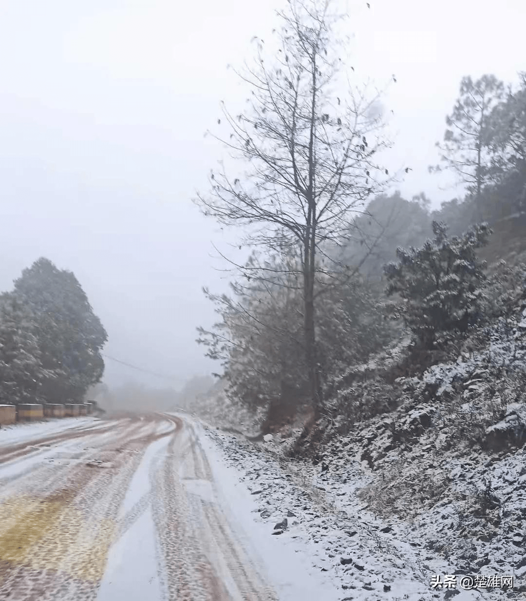 降溫下雨算什麼楚雄州這個地方迎來今年冬天第一場雪多圖