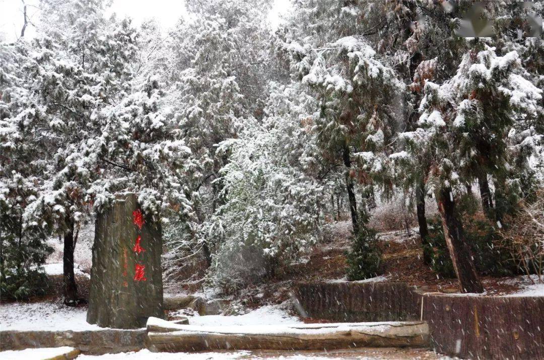 雪中浮来山,风景美如画_莒县_许传鹏_山宛如