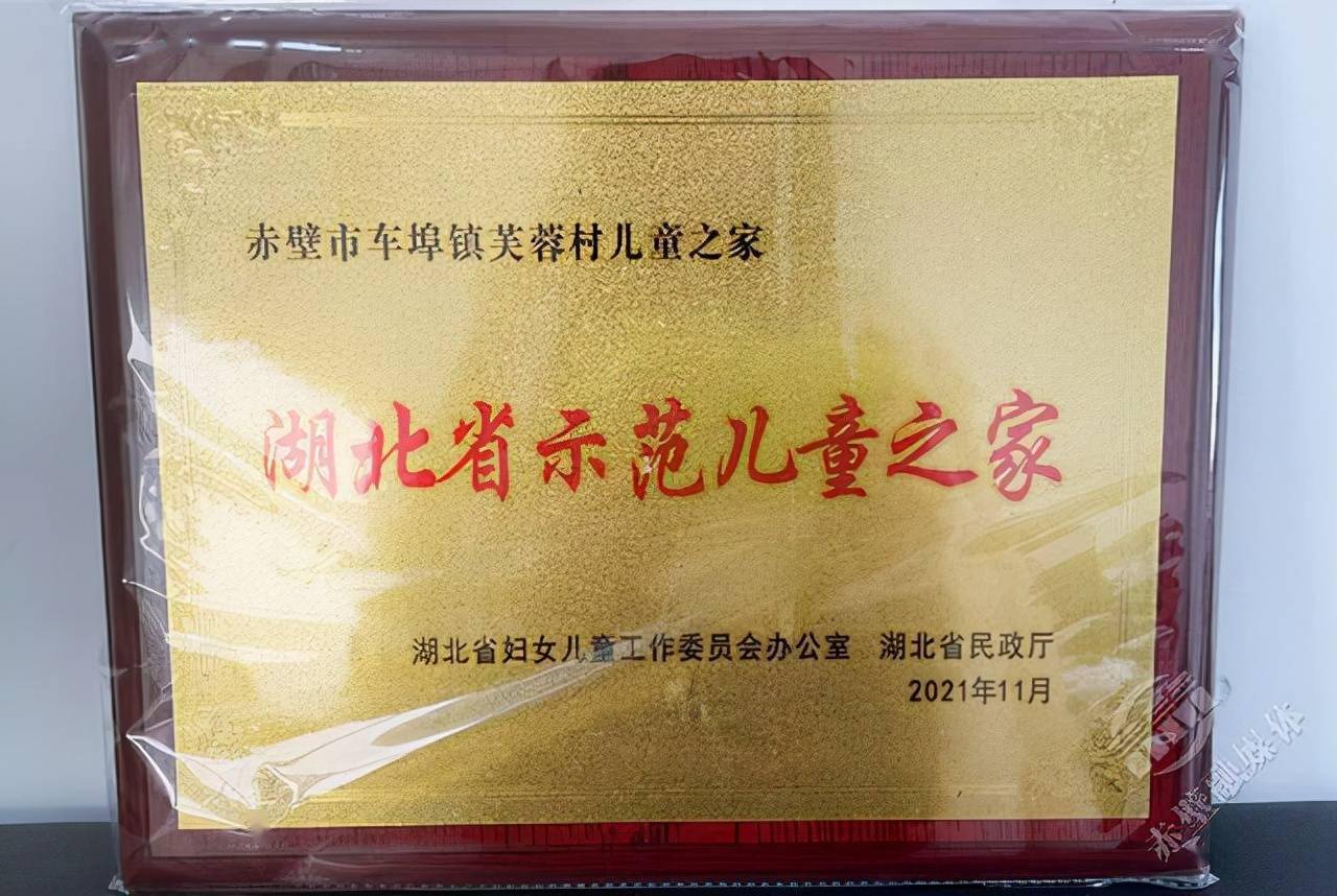 赤壁市这3家"儿童之家"荣获"湖北省示范儿童之家"称号_活动_关爱_新华