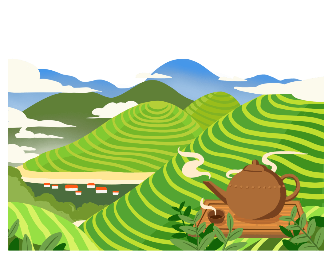 这份防寒潮指南请查收~_影响_防冻保暖_茶树