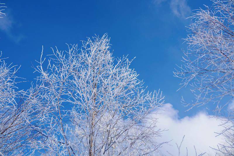 吉林|遇见凇雪吉林，赴一场冬日里的浪漫旅行