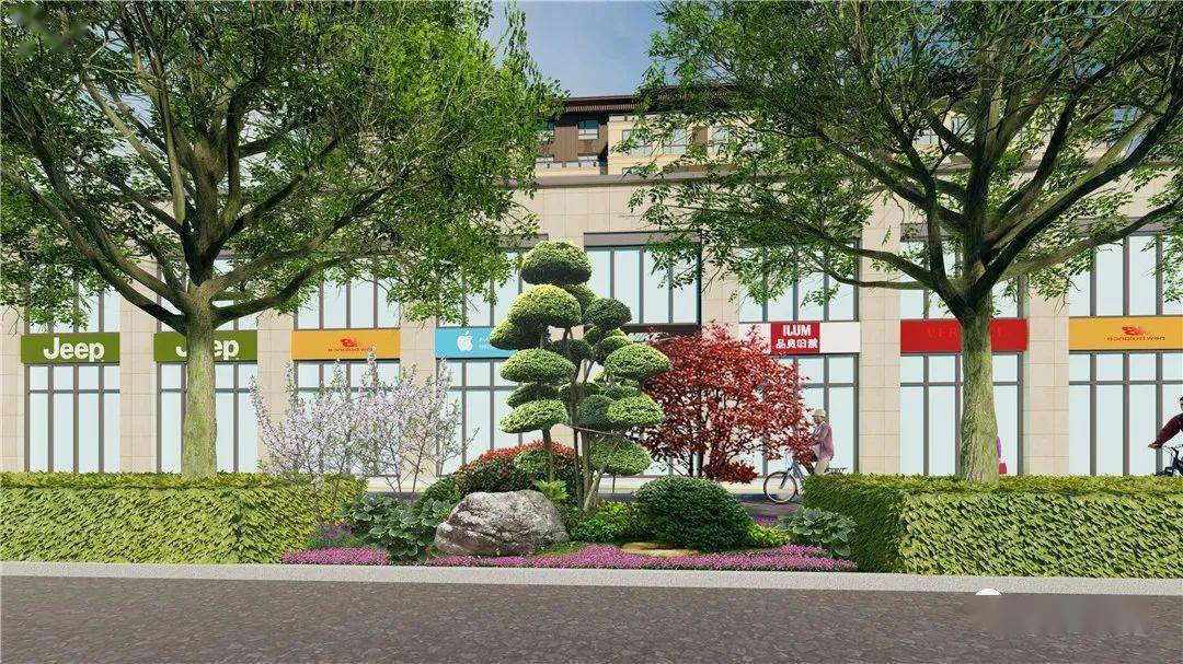 定州这条主干道增设中央绿化隔离带工作正在进行中