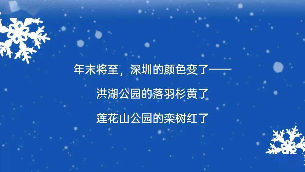 万象巨型「许愿树」来了，今年深圳跨年，就来这里！