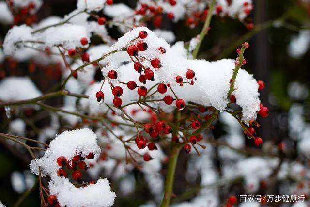 冬天怎么养生最好 f5495ba304c049298c55a31b9dcf5a3b.jpeg