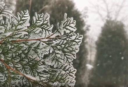 大路|杭州迎来入冬第一场雪 清凉峰现雾凇景观